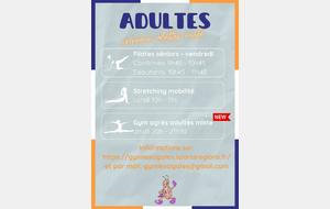 Cours Mixtes adultes